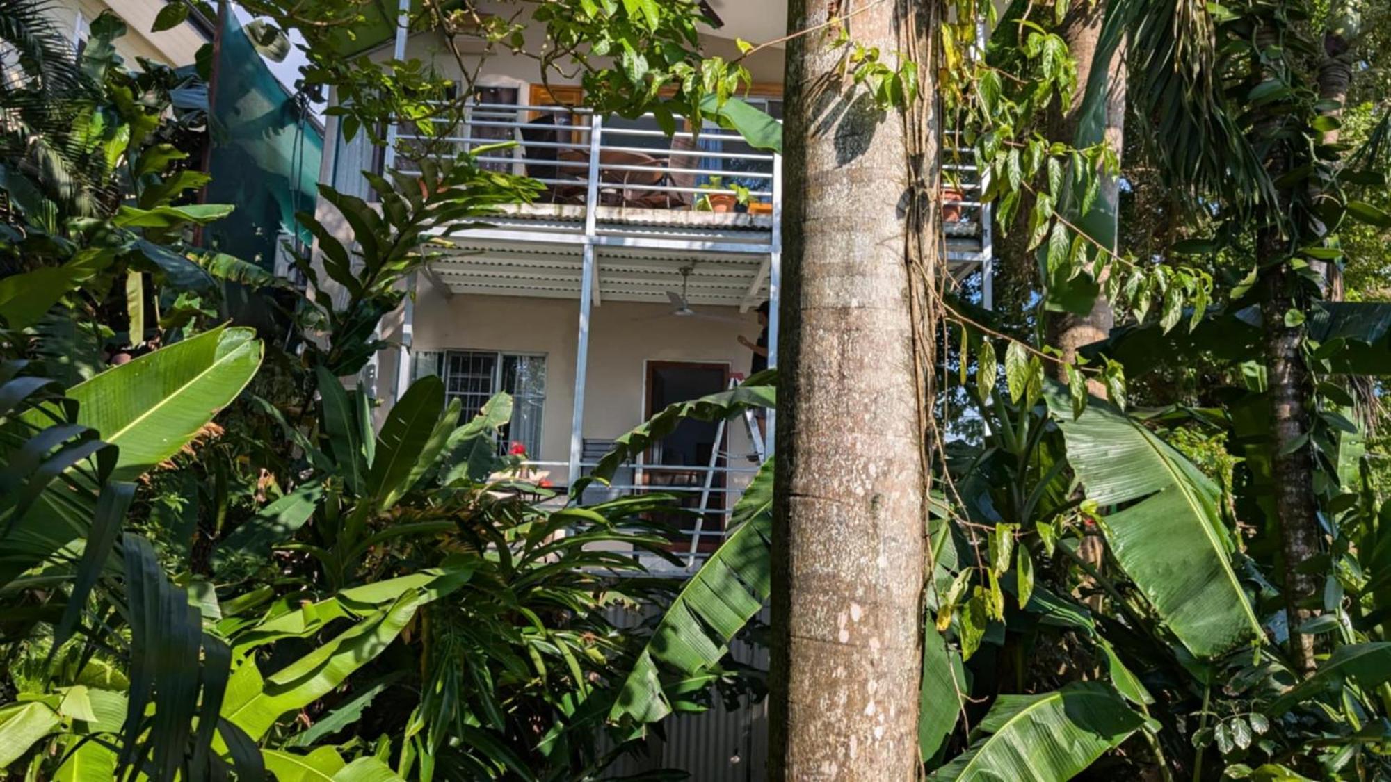 Peace Of Paradise Nationalpark Nationalpark Manuel Antonio Exterior foto